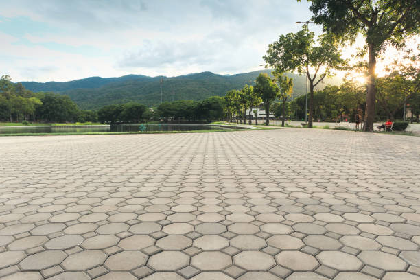 Best Residential Driveway Paver Services  in Clinton, WI